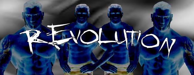 revolutionbanner.jpg